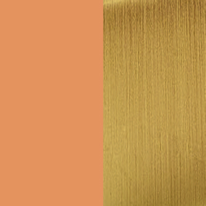 S2 - Glossy beige (ral 3012) / Antique gold